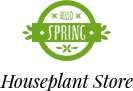 rootifypure.com-